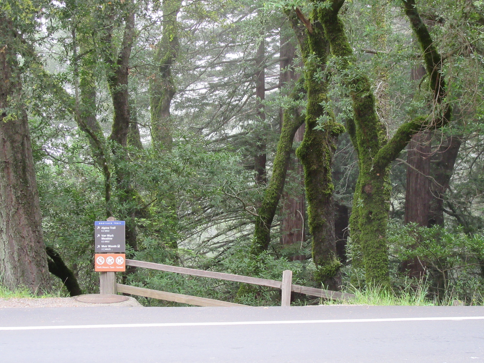 Bootjack to Camp Eastwood Loop via Troop 80 Trail – Map & Boots